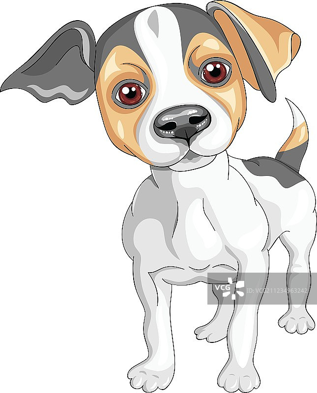 杰克罗素梗犬品种素描图片素材