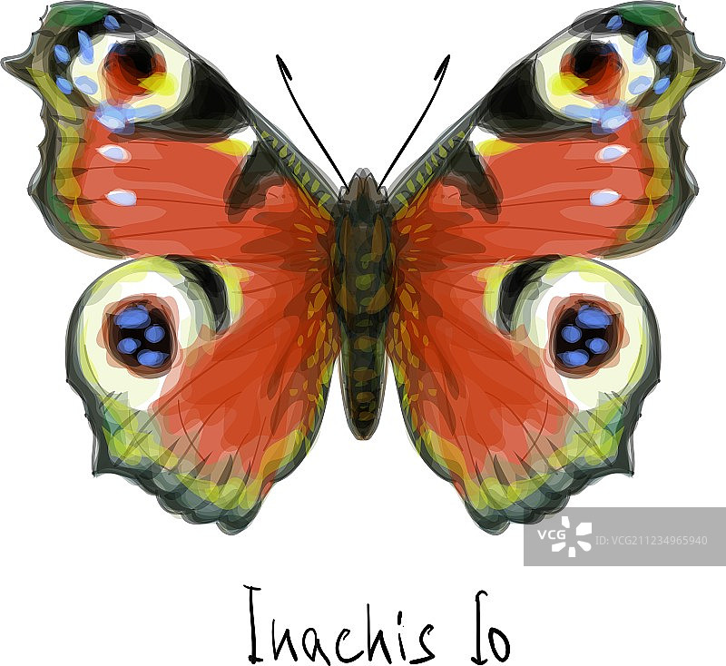 水彩蝴蝶图片素材