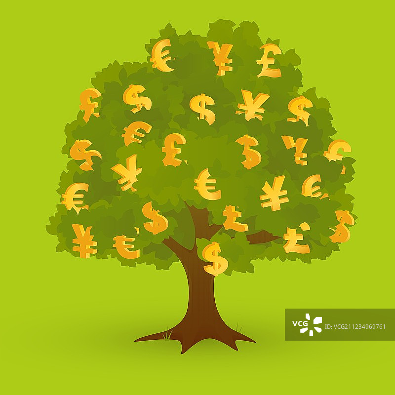 金钱树图片素材