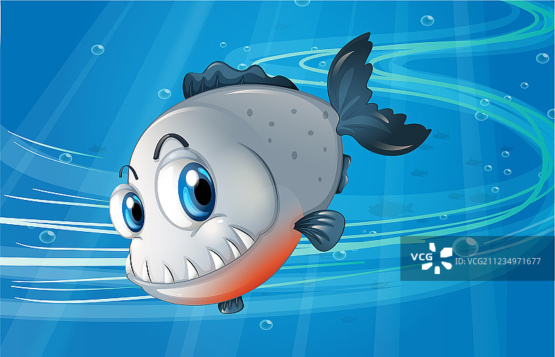 海中的食人鱼图片素材