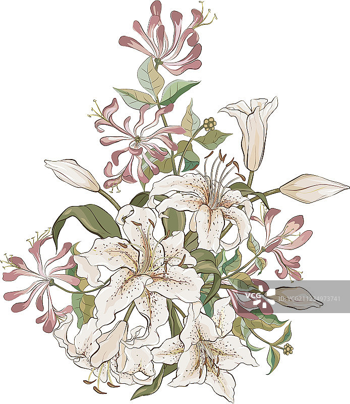 百合花与金银花图片素材