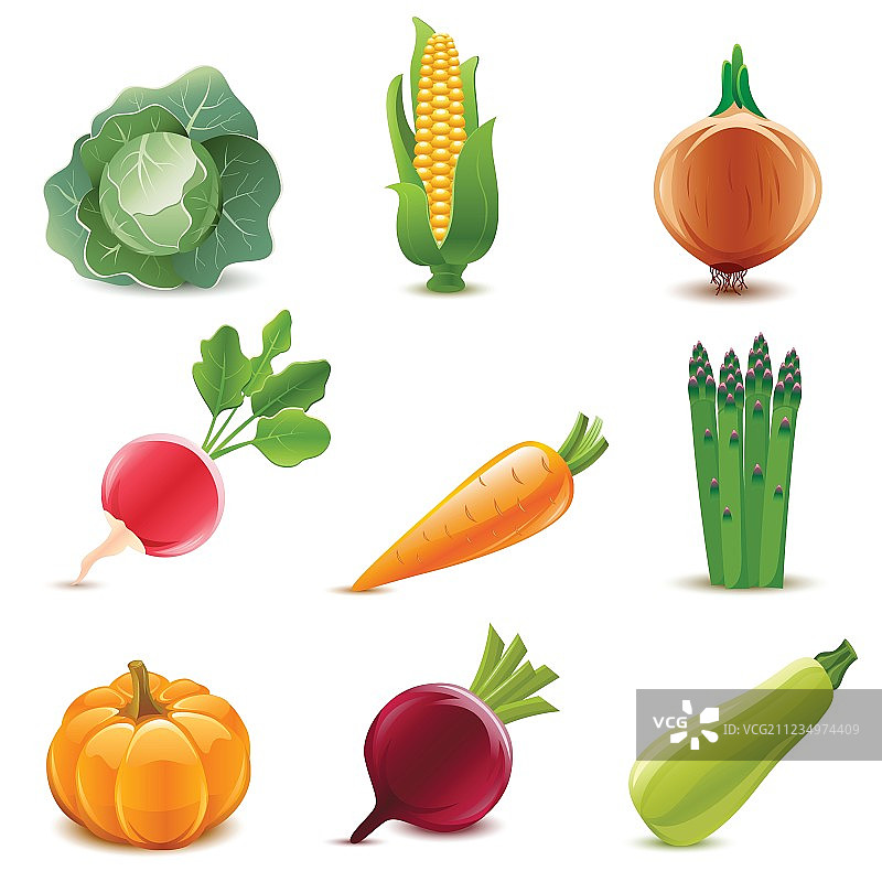 光面蔬菜组合图片素材
