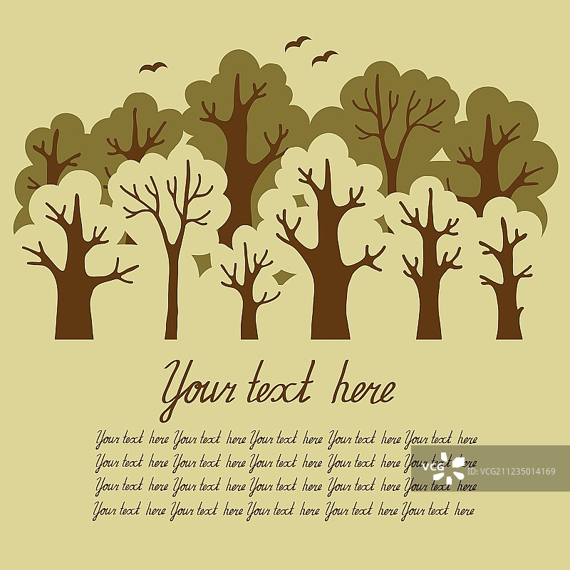 绿色落叶林图片素材