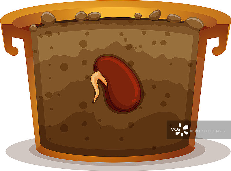 粘土罐中的种子萌发图片素材