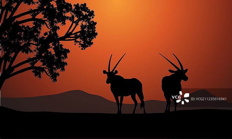两只羚羊的剪影图片素材