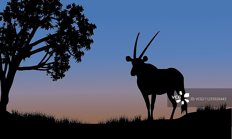 公园里的羚羊剪影图片素材