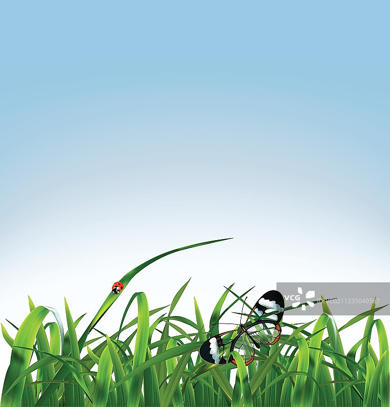 草地上的蝴蝶和瓢虫图片素材