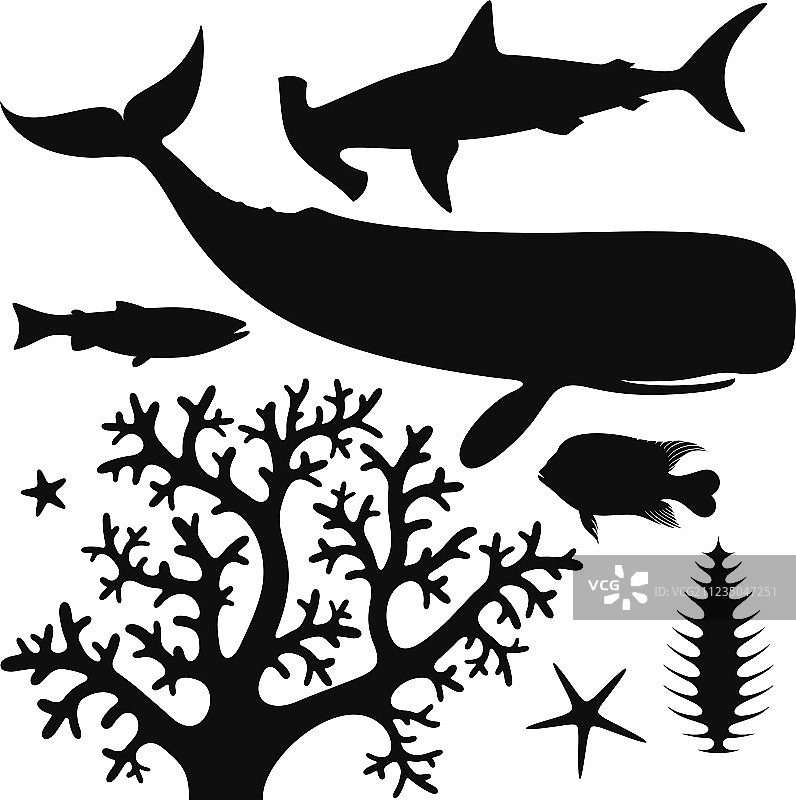 海洋生物图片素材