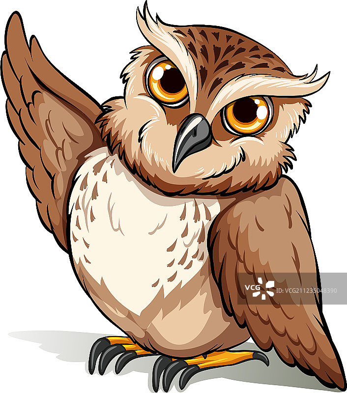 猫头鹰图片素材