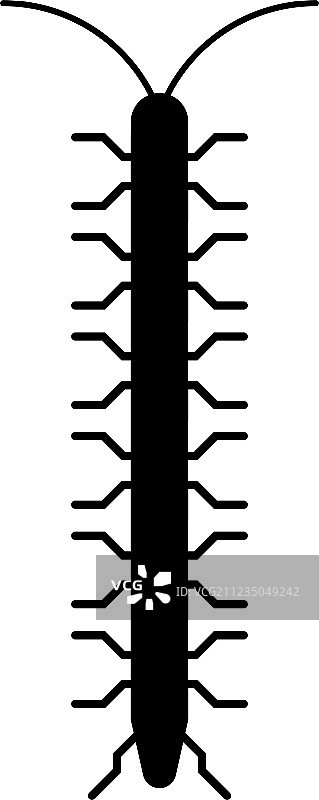 蜈蚣卡通造型扁平昆虫图片素材