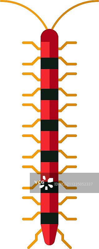 蜈蚣卡通造型扁平昆虫图片素材