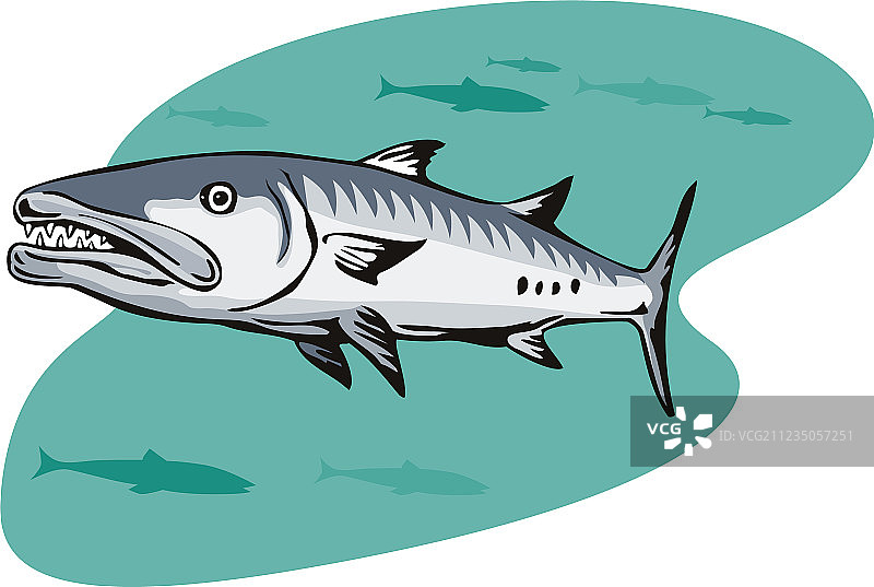 梭鱼复古风图片素材