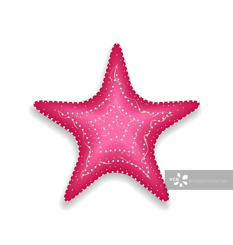 白色背景上的粉色海星图片素材