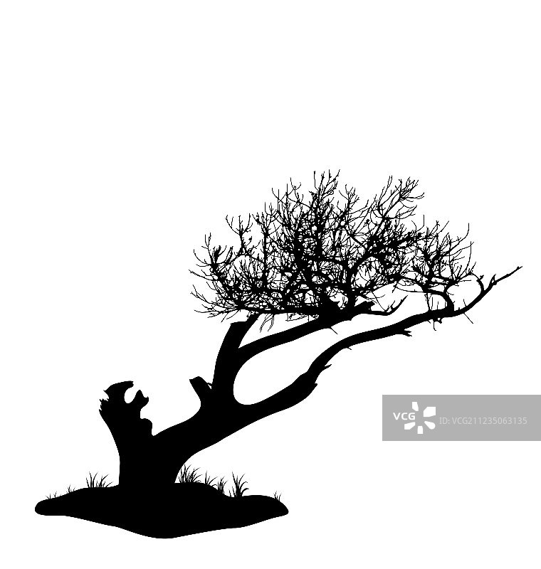 白色背景下的树木轮廓图片素材