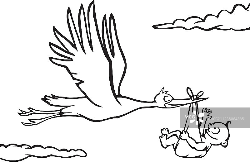 黑白鹳与幼鸟图片素材