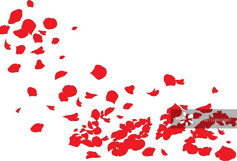 爱情玫瑰图片素材