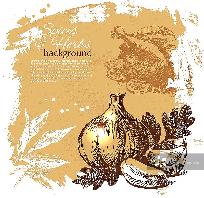 手绘草本植物素描复古背景图片素材