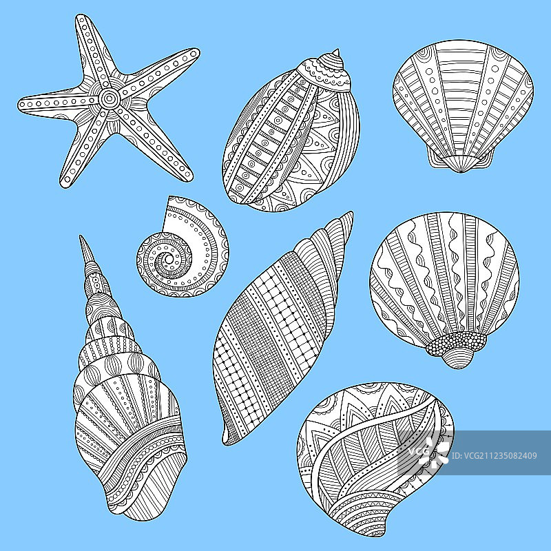 蓝色背景上的黑白海螺着色书图片素材