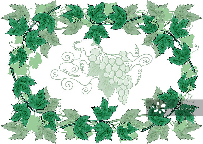 葡萄藤抽象边框图片素材