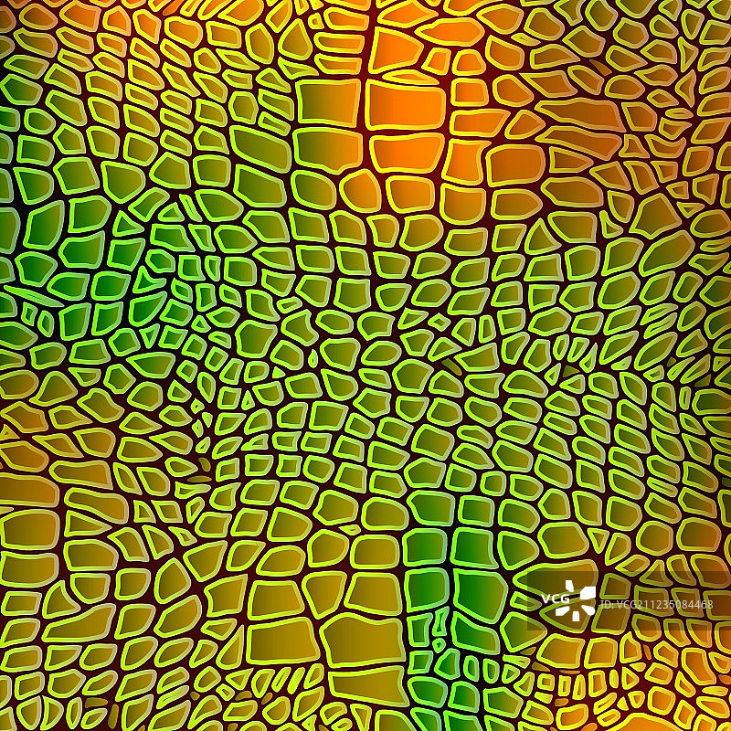 皮革动物纹理：蛇、爬行动物和鳄鱼图片素材