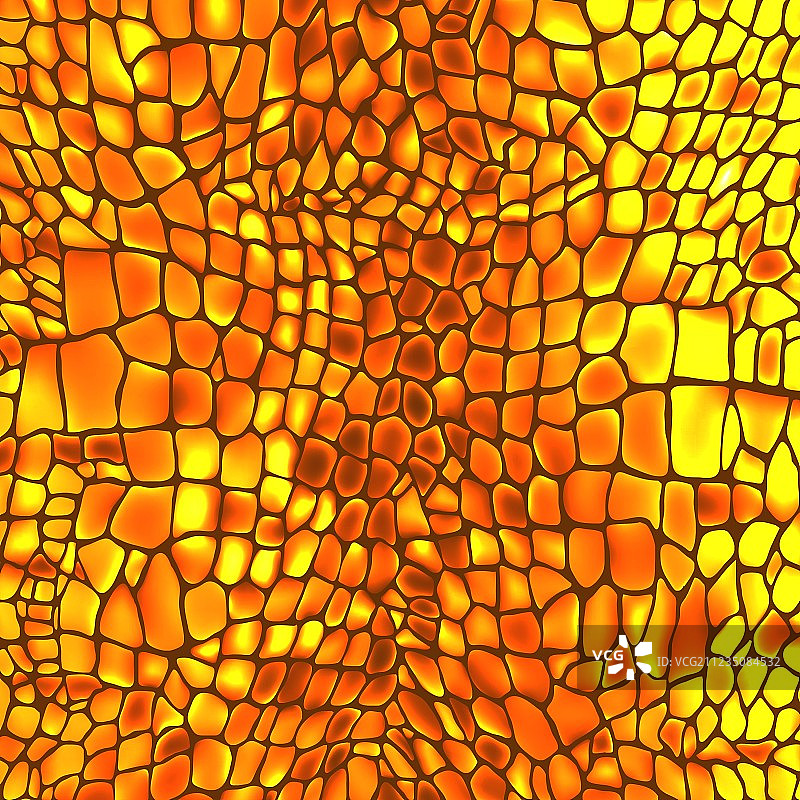 皮革动物纹理：蛇、爬行动物和鳄鱼图片素材