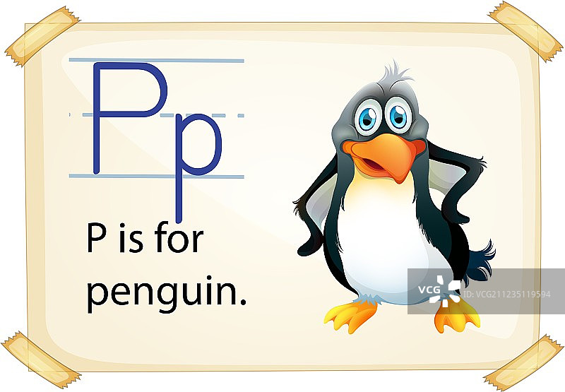 字母P代表企鹅图片素材