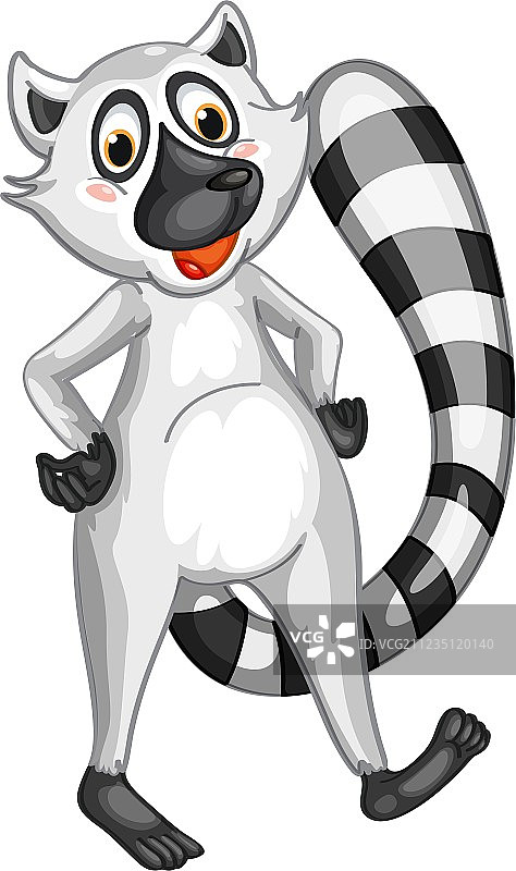 狐猴先生图片素材