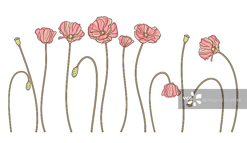 手绘花卉图案白色背景素材图片素材