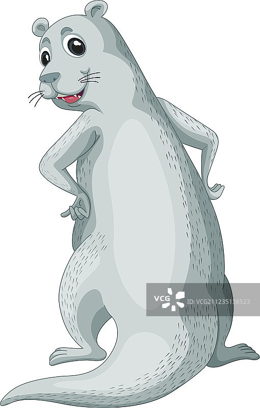 水獭先生图片素材