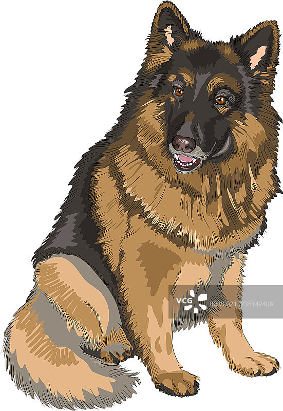 德国牧羊犬品种图片素材