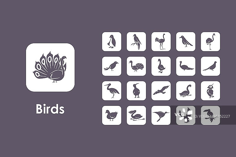 鸟类简约图标组合图片素材