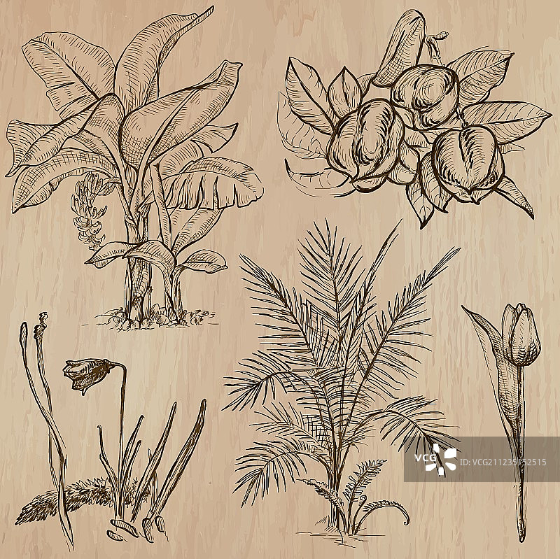 手绘花草树木素材包图片素材