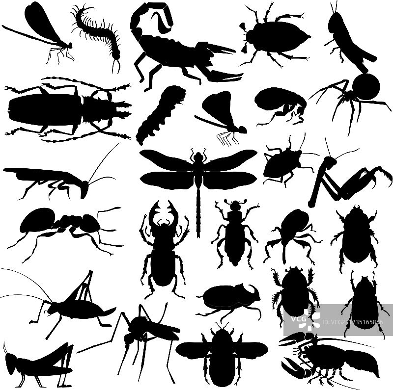 昆虫剪影图片素材