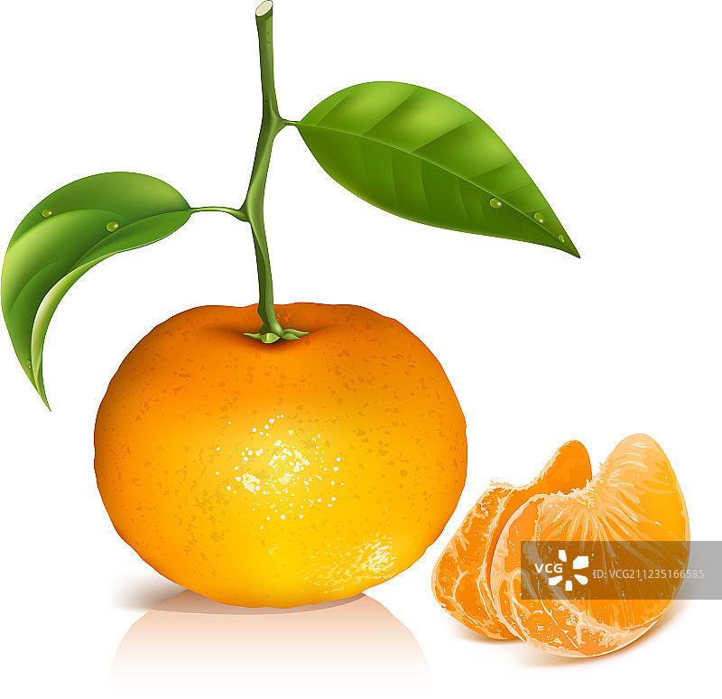 带绿叶的新鲜橘子图片素材
