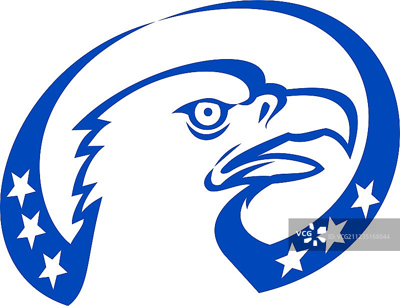 白头海雕仰望星空复古风图片素材