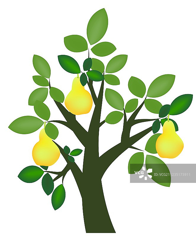 装饰梨树图片素材