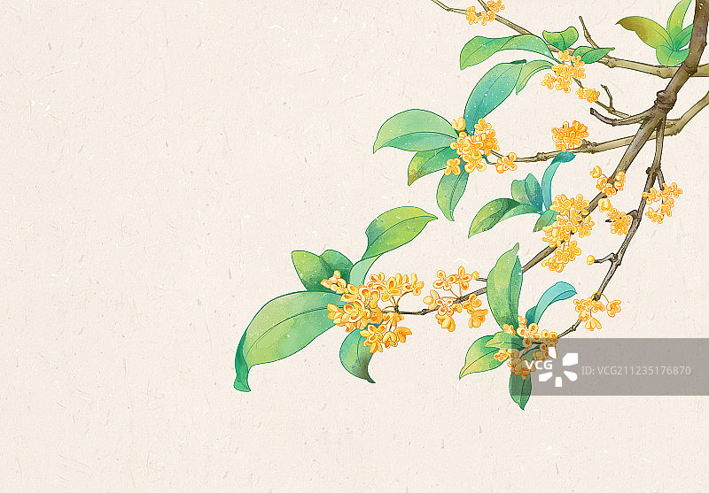 中秋桂花秋天国画图片素材