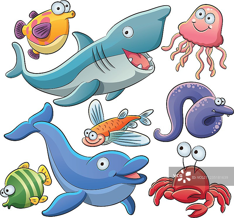 海洋动物合集图片素材