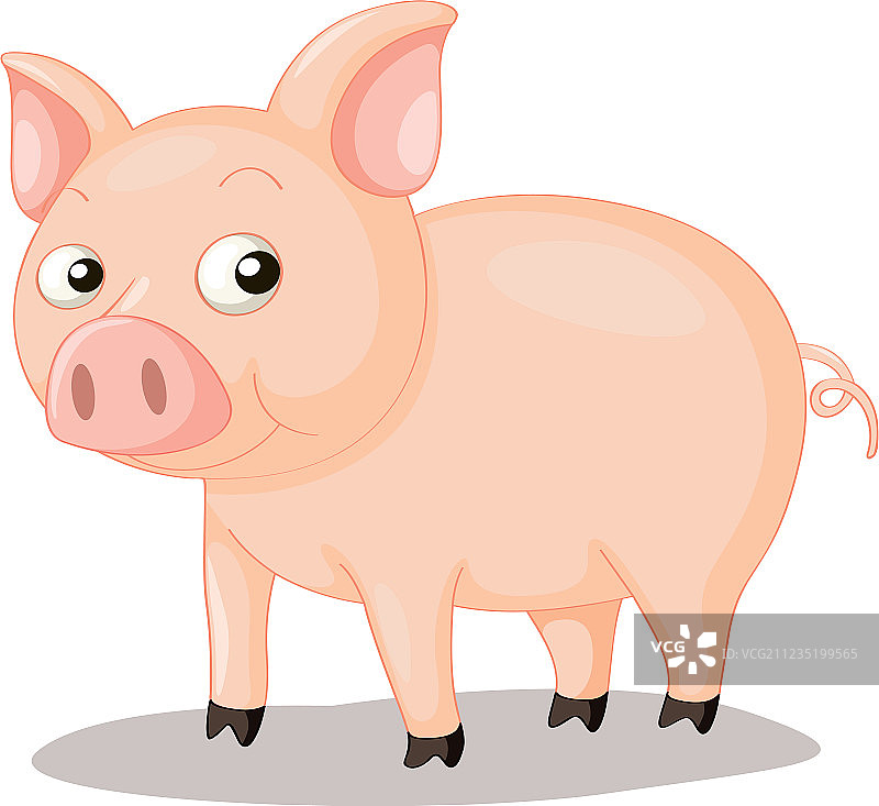 猪图片素材