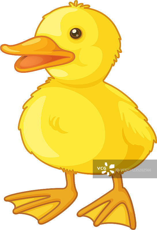 可爱的卡通鸭子图片素材