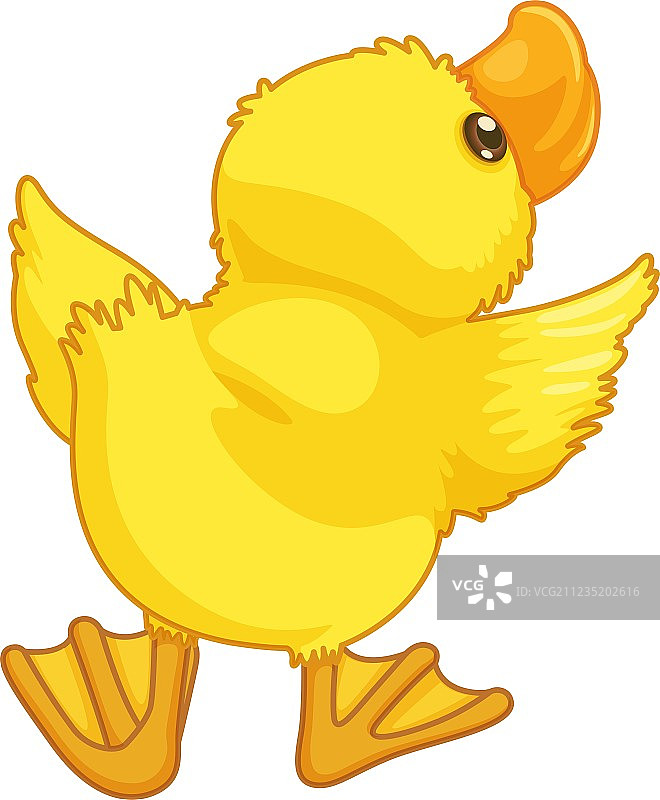 可爱的卡通鸭子图片素材