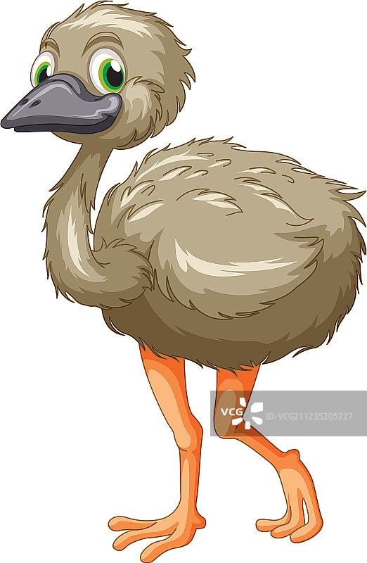 鸸鹋卡通图片素材