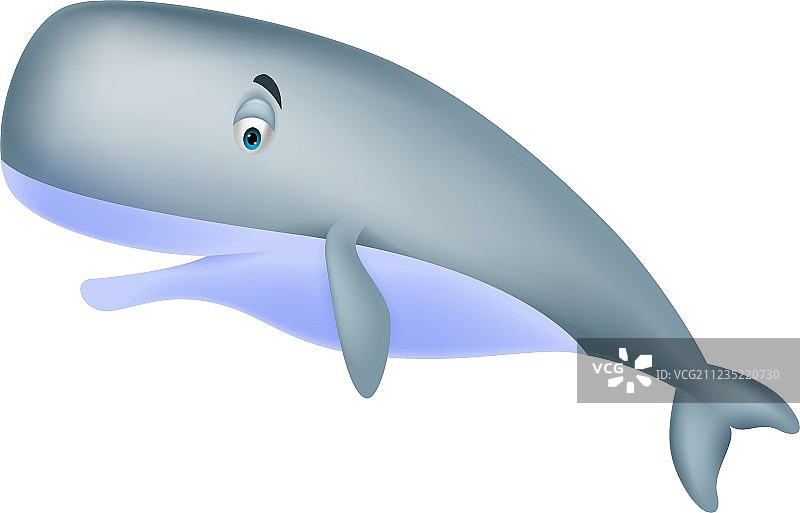 可爱卡通抹香鲸图片素材