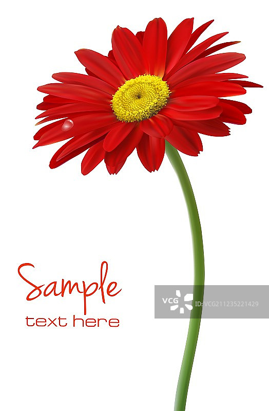 精美红色花朵图片素材