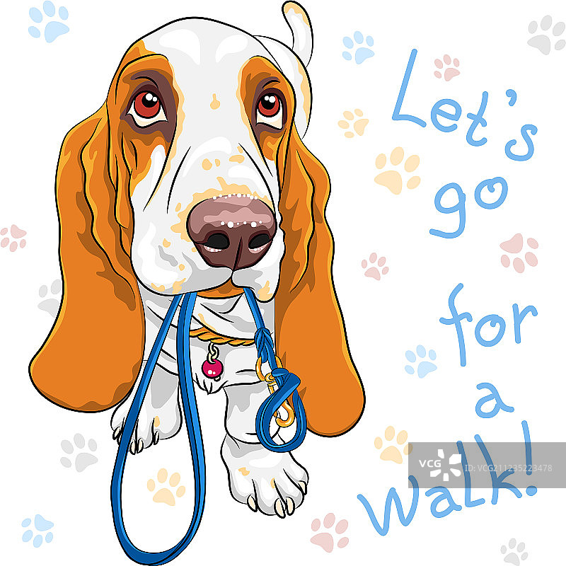 想散步的巴吉度猎犬图片素材