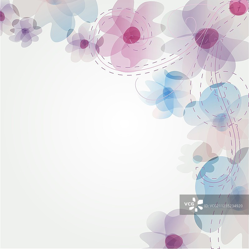 蝴蝶花卉卡片图片素材