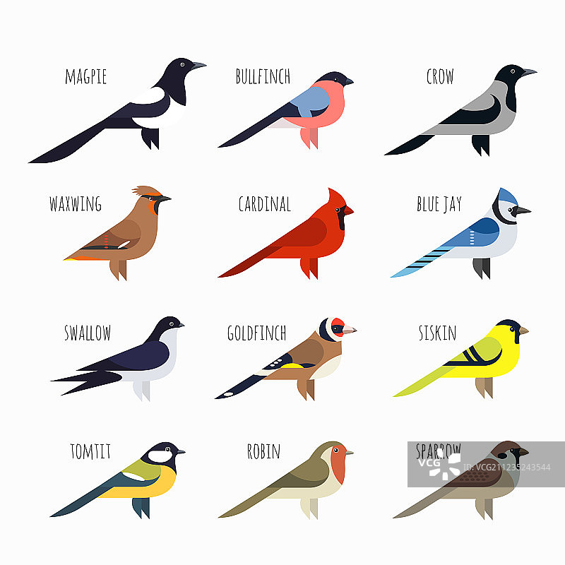 彩色小鸟图标素材：北美红雀、喜鹊、麻雀图片素材