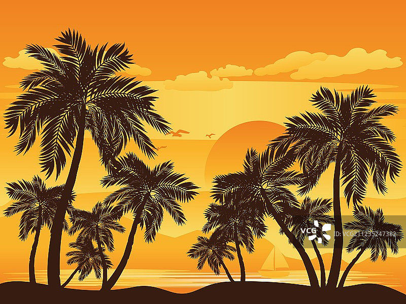 日落下的棕榈树图片素材