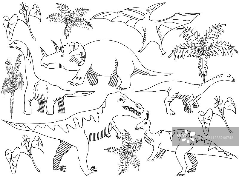 成人恐龙涂色书图片素材