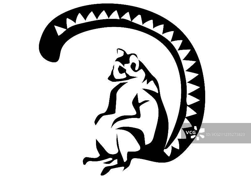 环尾狐猴图片素材